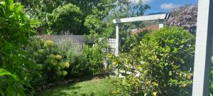 a garden with a white fence and some plants at Green on Queen in Richmond