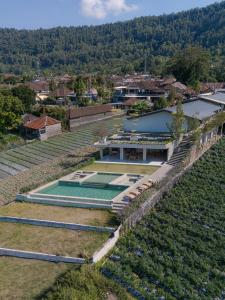 een luchtzicht op een wijngaard met een gebouw bij Noya Hotel in Kubupenlokan