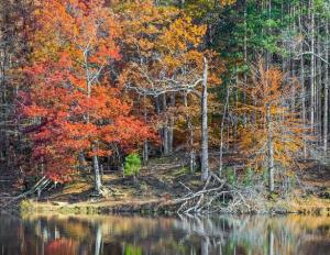 Příroda nedaleko prázdninového domu