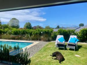 Πισίνα στο ή κοντά στο Tropical Oasis in the Heart of Māpua +5 φωτογραφίες