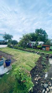 a garden with some plants in a yard at Lijo Ruban Home Stay in Kodaikānāl