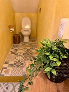 オアハカにあるCasa Resplandorのトイレと鉢植えのあるバスルーム