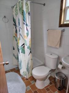 a bathroom with a toilet and a shower curtain at Kabañas Bosque De Alamos in Puerto Aisén
