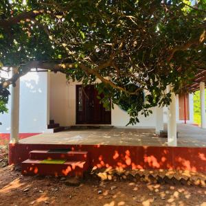 a small building with a tree in front of it at Akazumba home stay in Auroville