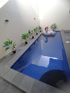 ein Schwimmbecken mit blauem Fliesenboden und ein Schwimmbecken in der Unterkunft QueeNdra Villa in Tlekung