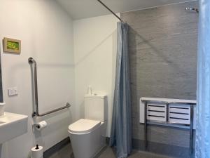 a bathroom with a toilet and a shower at ASURE Central Gold Motel Cromwell in Cromwell +40 photos