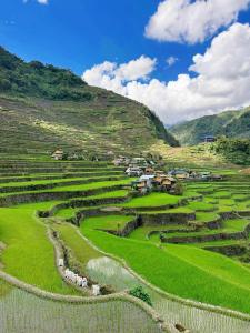a village in the middle of a green field at BATAD CRISTINA'S Main Village INN & Restaurant in Banaue