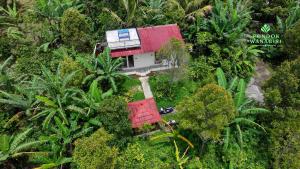 an aerial view of a house in the jungle at Pondok Wanagiri in Gitgit +8 photos