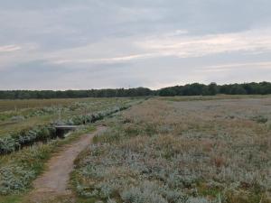 Příroda nedaleko prázdninového domu + 14 fotografií