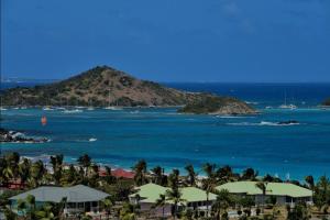 a view of a beach with palm trees and the ocean at Maison des îles in Saint Martin