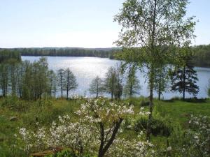 a view of a lake with trees and flowers at 4 person holiday home in GRÄNNA-By Traum in Gränna