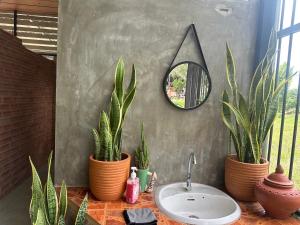 a bathroom with two potted plants and a sink at Pharit guesthouse in Pai