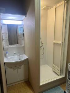 a small bathroom with a sink and a shower at 時の宿 in Kawagoe