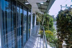 Zahrada ubytování Omeera Sand