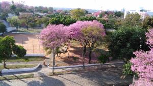 Jardín al aire libre en Acosta Ñu Apart Hotel