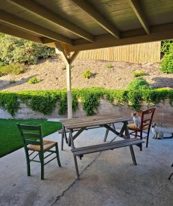 Κήπος έξω από το Private Room 2 - Prime City Access - Welcome to the Cat House - Due to a medical allergy we regret that we can NOT accommodate guests wearing fragrance including perfume and cologne, and also guests who smoke including smoke on clothing