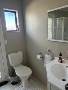 a bathroom with a toilet and a sink and a mirror at Quiet & Close to Town in Taupo
