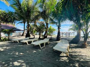 Příroda nedaleko hotelu