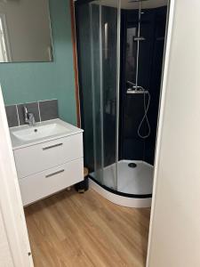 bagno con doccia, lavandino e doccia di Cozy studio a Quessoy