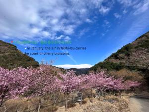 an image of a mountain with trees and a quote at Alim STAY IZU アリムステイ 伊豆 in Toi