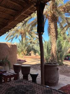 Zahrada ubytování Chez Madani