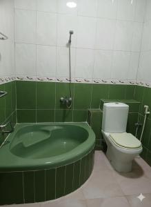 Un baño con bañera verde y un inodoro. en Makran Palace Hotel, en Ma‘ābīlah 8 fotos más