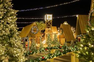 丽水市Latterace Resort的装饰有圣诞灯和圣诞树的房子