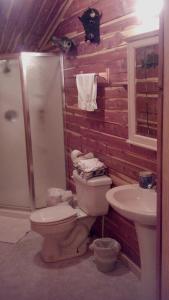 a bathroom with a toilet and a sink at Farmhouse Cabin Getaway near Ozark Forest in Arkansas in Marshall