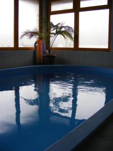 a swimming pool with a plant in a room with windows at Tünde Vendégház in Bernecebaráti