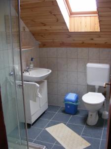 y baño con aseo y lavamanos. en Tünde Vendégház, en Bernecebaráti