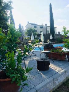 Agriturismo La Fenice في كاستيجليون فيورنتينو: فناء مع كراسي وطاولة ومسبح