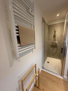 a bathroom with a shower and a towel rack at Charmant Appartement Rénové l 2 chambres in Réalmont