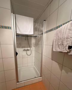 a bathroom with a shower with a glass door at Haus Alexandra in Rust