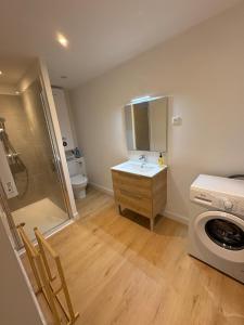 a bathroom with a sink and a washing machine at Charmant Appartement Rénové l 2 chambres in Réalmont