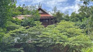 a house in the middle of a forest of trees at Terres D'Angkor in Phumĭ Kruŏs