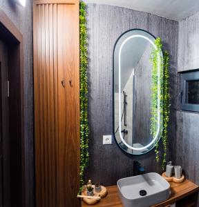 een badkamer met een wastafel en een spiegel bij Azimuth in Buhalniţa