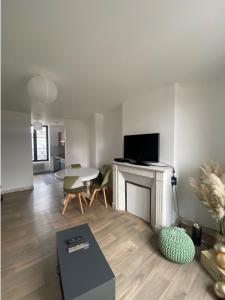 a living room with a fireplace and a television at chez Alain et Sylvie in Braine