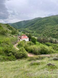 Příroda nedaleko vily