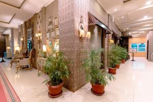 a lobby with a row of potted plants on the wall at Shelton's Rezidor Peshawar in Peshawar +40 photos