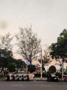 Φωτογραφία από το άλμπουμ του Ong 5 Homestay Can Tho σε Can Tho