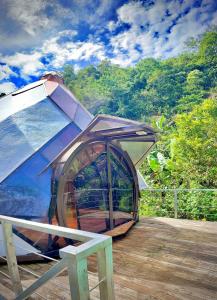 uma tenda em forma de cúpula sobre um deck de madeira em Dome #1 em Rivas