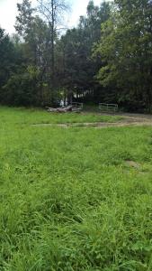 RozwadzaにあるGenius iiの腰掛け草原