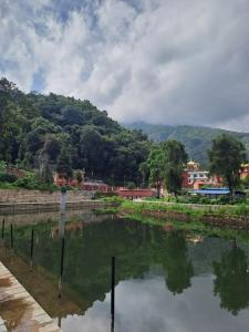 Příroda nedaleko apartmánu