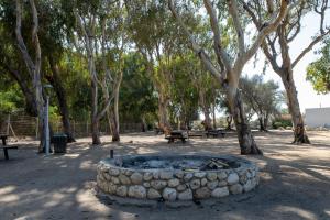 a fire pit in a park with trees and benches at SPNI Achziv Field School in Gesher HaZiw
