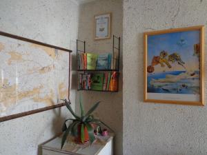 a wall with a map and a plant on a shelf at Family Hotel Ecorelax in Madzhare