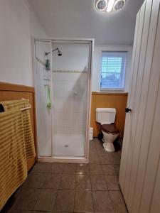 a bathroom with a shower and a toilet at The May Queen - Footsteps in the Forest in Balbarrup