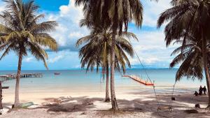 Příroda nedaleko hotelu