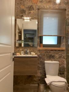 a bathroom with a toilet and a sink and a mirror at Villa with private pool and stunning sea view in Galaxidi +19 photos