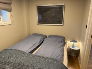 a bedroom with two beds and a picture on the wall at Cozy and centrally located apartment in Tromsø