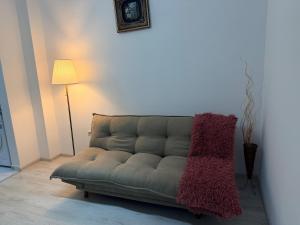 a couch sitting in a living room next to a lamp at Julia Militari Studio in Roşu